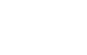 Samedaylogistics weiss